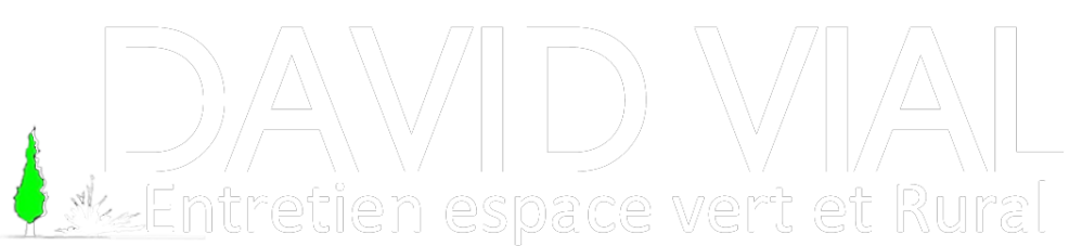 logo blanc