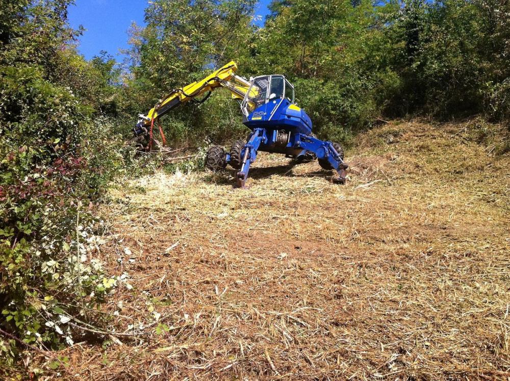 Entretien espace vert Isère