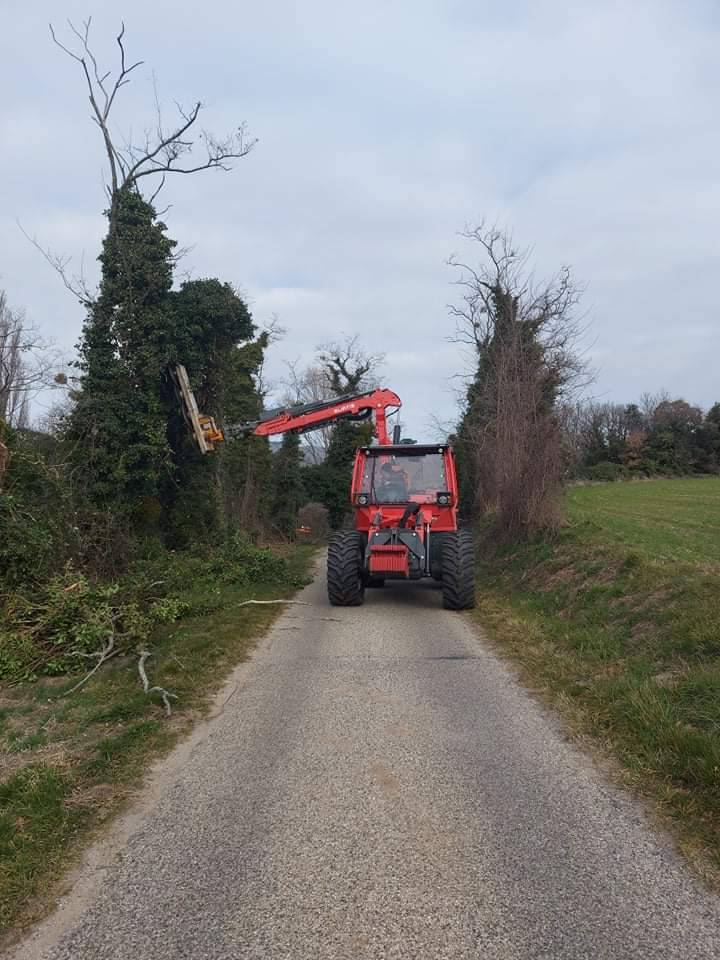 débroussaillage route